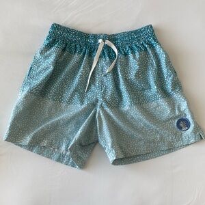 Chubbies Swim Trunks